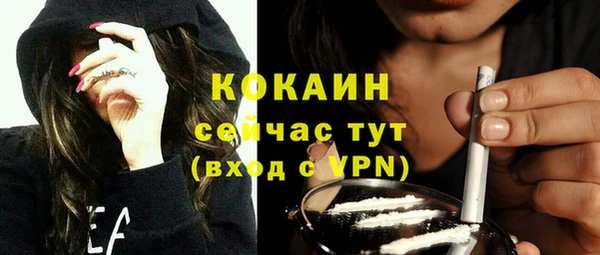 бошки Новозыбков