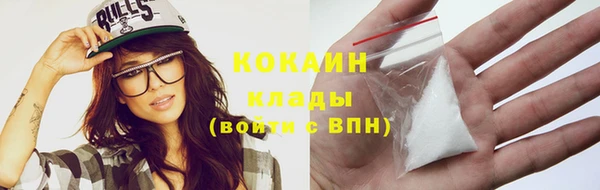 гашик Нефтекумск