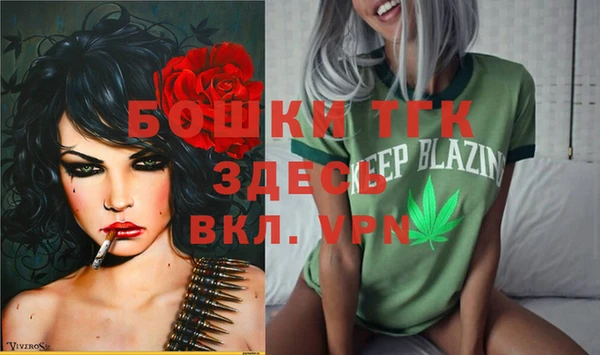 сатива Бежецк