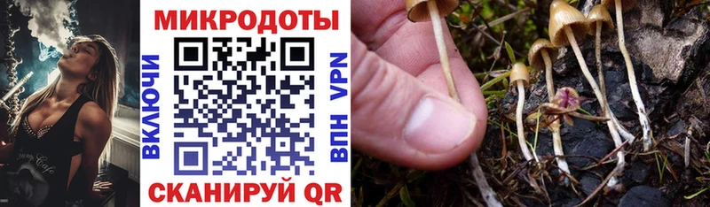 Галлюциногенные грибы Cubensis  закладка  Юхнов 