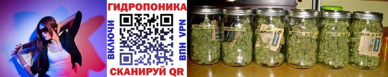 Канабис AK-47  Юхнов 